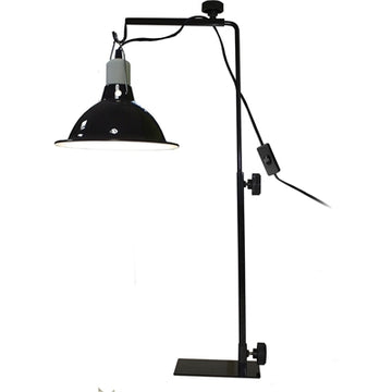 Komodo-Licht-Normal 37-63 CM