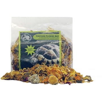 Komodoschildkrötenblüten-Mischung 60 GR