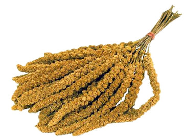 Markenlos Millet Chinese 15 KG