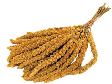 Versele-Laga Prestige Trab Hirse 300 GR