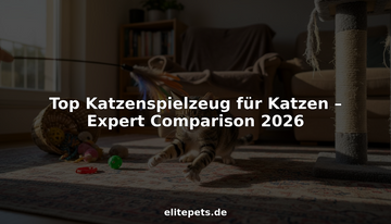 Eine Katze tollt vergnügt mit ihren Spielsachen durch das gemütliche Wohnzimmer.