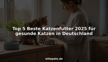 Eine Katze, die sich sichtlich wohlfühlt, genießt gemeinsam mit ihrem Besitzer die Sonnenstrahlen in einer hellen Küche.