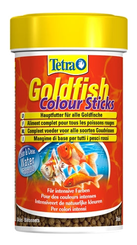 Tetraaniminischer Goldfisch Farbe