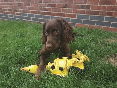 Happy Pet Aus &amp; Über Kreuzseile Ente 47X16.5X8 CM