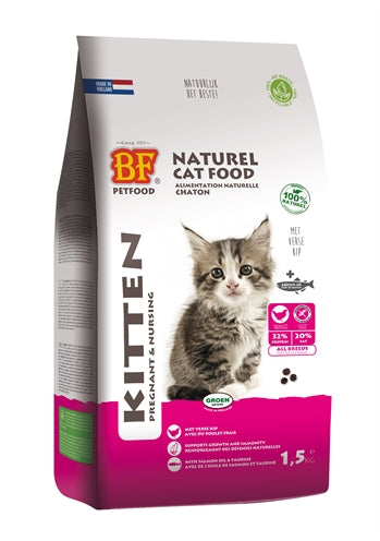 Biofoodpremium-Qualität Katzenkätzchen Trächtig / Säugend