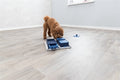 Trixie Hund Aktivität Poker Box 1 31X31 CM