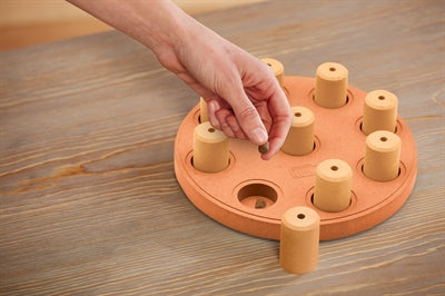 Nina Ottosson Dog Smart Composite 23X23X6 CM