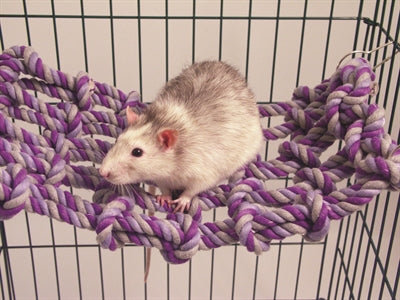 Rosewood Rosenholzladung Nur Für Ratte Oder Frettchen 35x1,5x20,5 cm