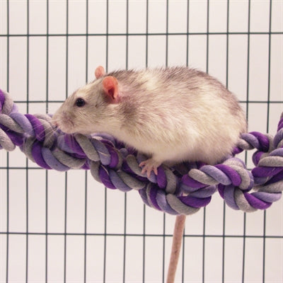 Rosewood Rosenholzladung Nur Für Ratte Oder Frettchen 35x1,5x20,5 cm