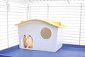 Imac Hamsterhaus Casetta Criceti 16,5X10X11 CM