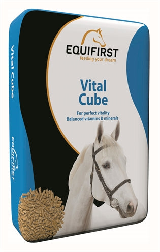 Equifirst Vitaler Würfel 20 KG