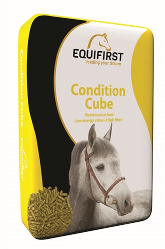 Equifirst Würfel Mit Äquifirst Condition 20 KG