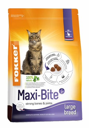 Fokker Züchter Katze Maxi Biss Gross Breit 2,5 KG