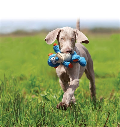 Kong Kreuzknoten Löwe 35X25X20 CM