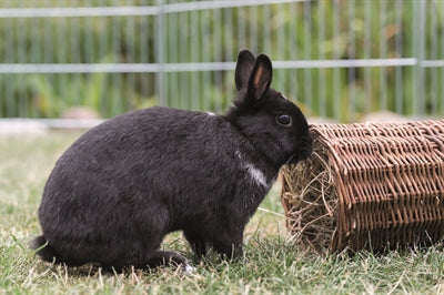 Trixie-Weiden-Tunnelkaninchen 38X20X20 CM