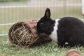 Trixie-Weiden-Tunnelkaninchen 38X20X20 CM