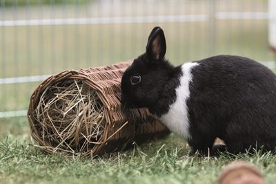 Trixie-Weiden-Tunnelkaninchen 38X20X20 CM