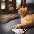 Canadiancat Company Kanadisches Katzenspielkissen Karo Mit Katzenminze Grau / Beige 10X7.5X1 CM