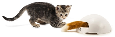 Frolicat Fuchskiefer 19X19X10 CM