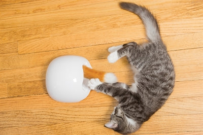 Frolicat Fuchskiefer 19X19X10 CM