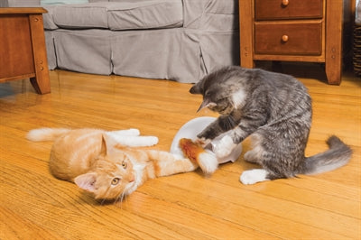 Frolicat Fuchskiefer 19X19X10 CM