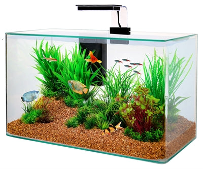 Zolux Aquarium Clear Kit Schwarz 32 LTR 50X25X38 CM