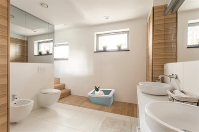 Imac Abfallkorb Maddy Aqua Green 62X49,5X47,5 CM