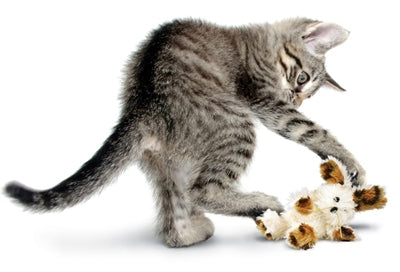 Kong Cat Softies Fuzzy Bunny Assorti 11X4X15,5 CM