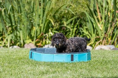 Trixie Dog Pool Hellblau / Blau