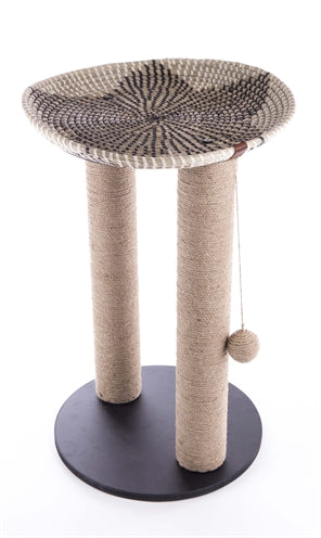 Martin Vietnam Mit Korbstern Wasserhyazinthe