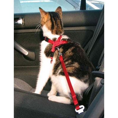Trixie Katzengeschirr Für Im Auto Rot 20-50X1,5 CM