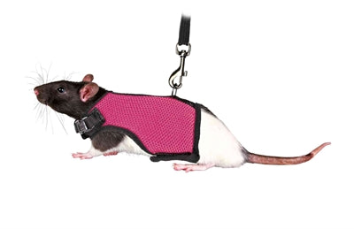 Trixie-Weichgeschirr Mit Gürtel Für Ratten Sortiert 12-18X120 CM