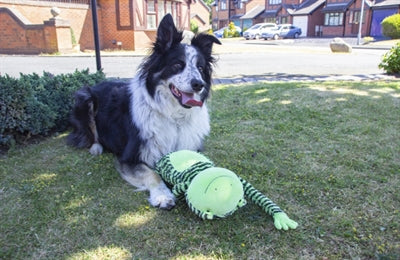 Rosewood Froschartige Lange Beine 53X14X12 CM