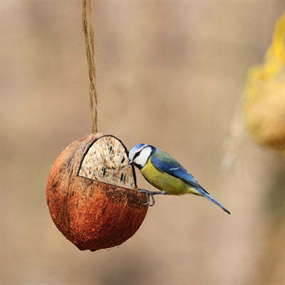 Best For Birds Kokosnuss Gefüllt Mit Fett 350 GR