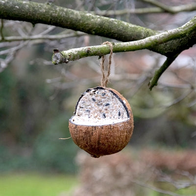 Best For Birds Kokosnuss Gefüllt Mit Fett 350 GR