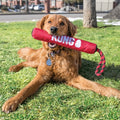 Kong Stick Mit Seil Rot/Schwarz 30X5X5 CM