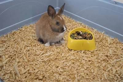 Imac Füttern Spass Nagetier 11X11X4 CM