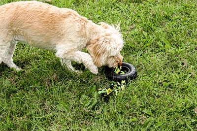Happy Pet Grrrelli Reifenzieher Schwarz/Grün