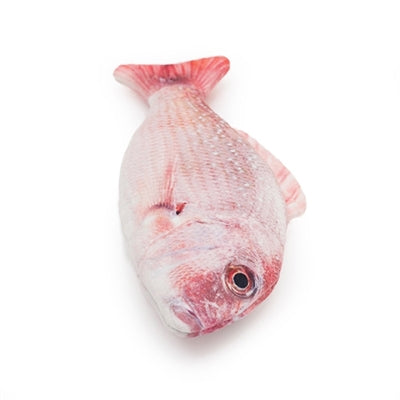 Jolly Moggy Natürliche Katzenminze Roter Schnapper 21 CM