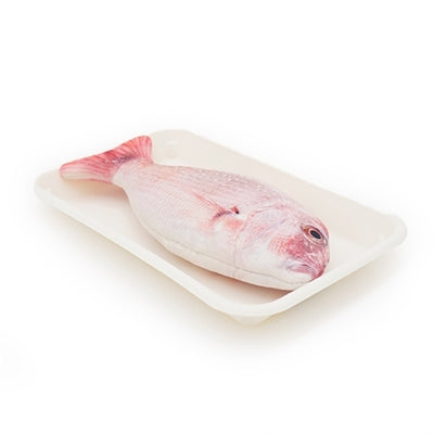 Jolly Moggy Natürliche Katzenminze Roter Schnapper 21 CM