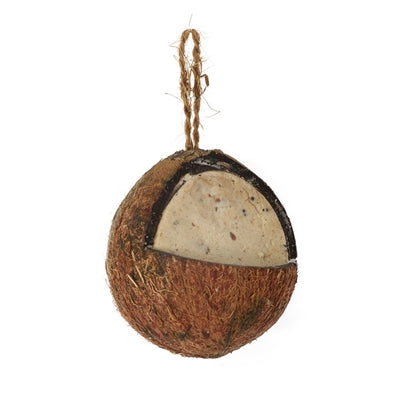 Suet To Go Ganze Kokosnuss Mit Mehlwurm 12X10X8 CM
