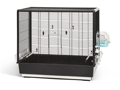 Savic Primo 60 Knock Down Schwarz 80X50X70 CM