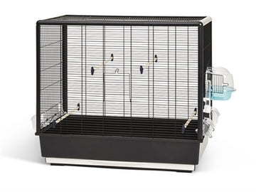 Savic Primo 60 Knock Down Schwarz 80X50X70 CM