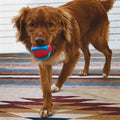 Kong Jaxx Brights Ball Assorted