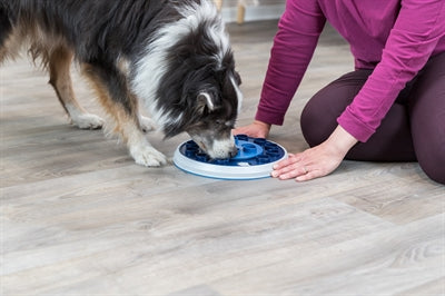 Trixie Hund Aktivität Strategie Spiel Twister Weiss / Blau 28X28 CM