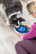 Trixie Hund Aktivität Strategie Spiel Twister Weiss / Blau 28X28 CM