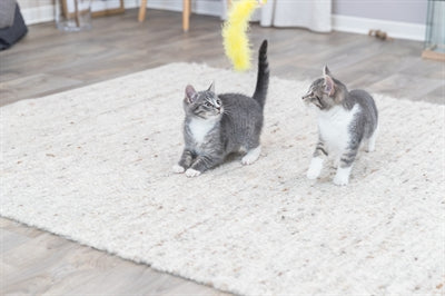 Trixie Mit Rasselkugel Und Feder Kunststoffsortiment 46 CM