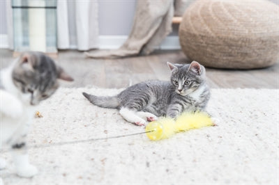 Trixie Mit Rasselkugel Und Feder Kunststoffsortiment 46 CM