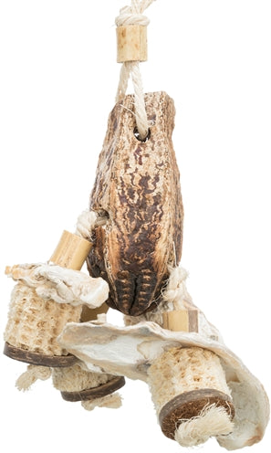 Trixie Natürliches Spielzeug Mahagoni/Muscheln 26 CM