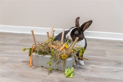 Trixie Keramik/Holz Grau 26X17X23 CM